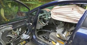 Γυαλιά καρφιά έκανε ένα Honda Civic μια αρκούδα