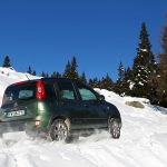 Μίνι: Fiat Panda