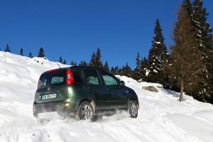 Μίνι: Fiat Panda