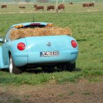 Tragic... μετατροπή VW Beetle pick up