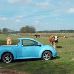 Tragic... μετατροπή VW Beetle pick up