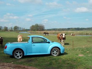 Tragic… μετατροπή VW Beetle pick up