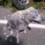 Ατύχημα... αφηρημένης τέχνης με 42 κιλά χρώμα