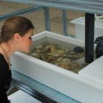 Hyundai ix35 Fuel Cell «μεγάλωσε» μια φάρμα!