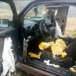 Αρκούδες διέλυσαν το εσωτερικό ενός Honda