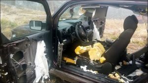 Αρκούδες διέλυσαν το εσωτερικό ενός Honda