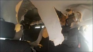 Αρκούδες διέλυσαν το εσωτερικό ενός Honda