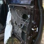 Αρκούδες διέλυσαν το εσωτερικό ενός Honda