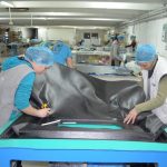 Πλαστική επέμβαση σε Porsche Cayman αξίας 177.000 ευρώ!