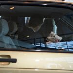 Η SEAT αναπαλαίωσε το πρώτο «βασιλικό» Ibiza (+video)