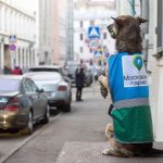 Αστυνομικοί σκύλοι στην υπηρεσία παράνομης στάθμευσης!