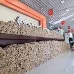 Κινέζος πλήρωσε αυτοκίνητο αξίας 98.000 ευρώ με κέρματα!