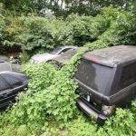 Κατασχεμένα αυτοκίνητα πολυτελείας στο έλεος της φύσης