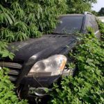 Κατασχεμένα αυτοκίνητα πολυτελείας στο έλεος της φύσης