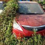 Κατασχεμένα αυτοκίνητα πολυτελείας στο έλεος της φύσης