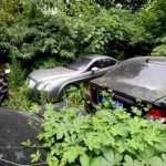 Κατασχεμένα αυτοκίνητα πολυτελείας στο έλεος της φύσης
