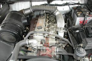 Θηριώδες εκτός δρόμου όχημα Mega Cruiser Russia