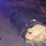 Δανείστηκε σπάνια Lamborghini και την έκανε... καινούργια!