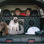 Nissan X-Trail 4dogs: Ο καλύτερος φίλος του σκύλου (+video)