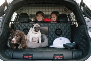 Nissan X-Trail 4dogs: Ο καλύτερος φίλος του σκύλου (+video)