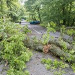 Ότι απέμεινε από επικίνδυνη βόλτα με BMW M2