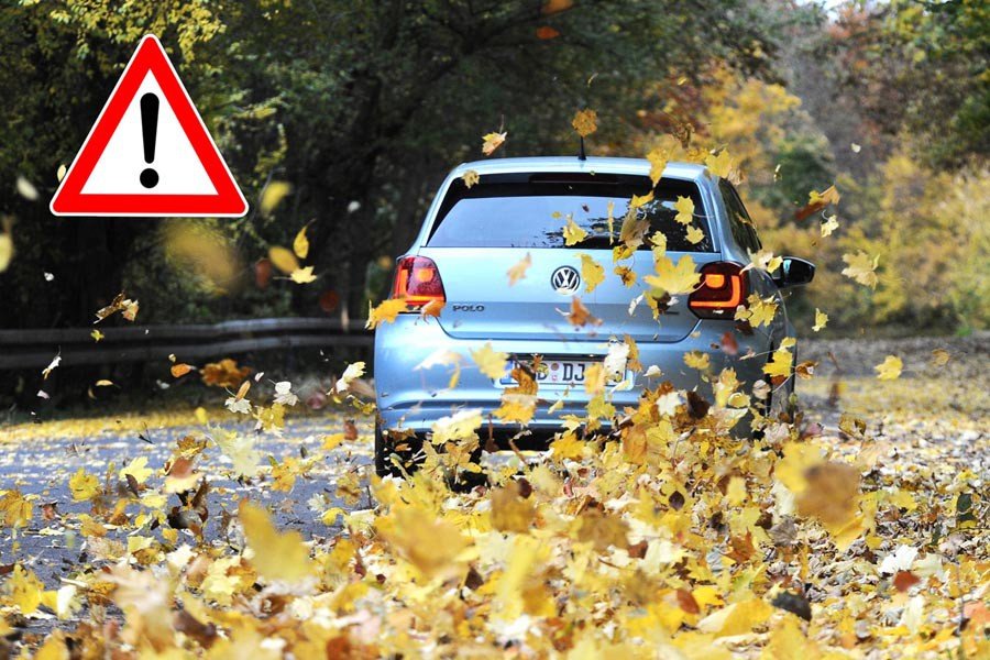 Προσοχή στα πεσμένα φύλλα στους δρόμους!