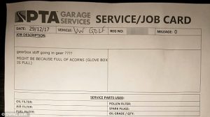 Του χάλασε το Golf εξαιτίας ενός σκίουρου