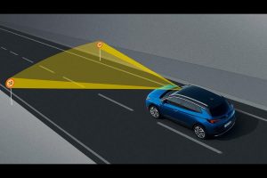 Opel-Grandland-X-Design-Line-(3)