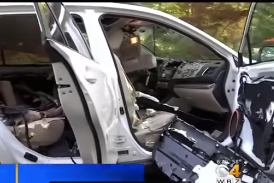 Αρκούδα έκανε φύλλο και φτερό ένα Subaru (+video)