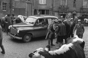 Renault-COLORALE-(3)