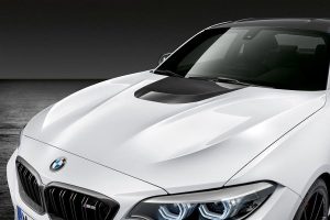 bmw-m2-coupe-competion-(9)