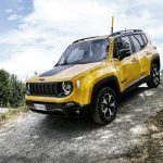 fl jeep renegade.jpg2