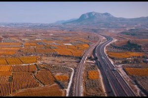 olympiaodosdocymanter