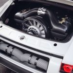 singer williams.jpg8