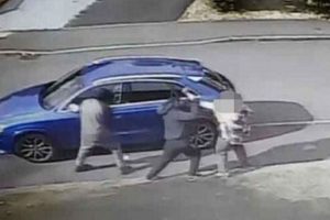 audi q3 steven seagal