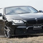 bmw 6 wald.jpg6