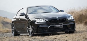 bmw 6 wald.jpg6