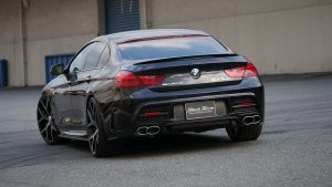 bmw 6 wald.jpg7