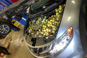 skiouros check engine3