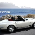 mitsuoka mx53