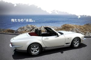 mitsuoka mx53