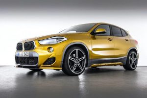 bmwx2sschnitzer2