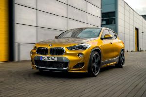 bmwx2sschnitzer4
