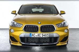 bmwx2sschnitzer5