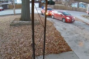 wife_crashes_husband