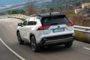 Dynamic_White_Bitone_Rav4_2019_11