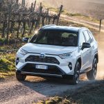 Dynamic_White_Bitone_Rav4_2019_44