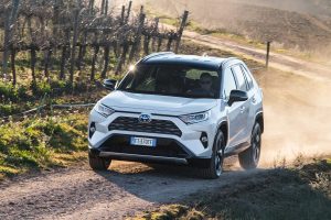 Dynamic_White_Bitone_Rav4_2019_44