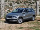 Skoda-Karoq-1,0TSI (21)
