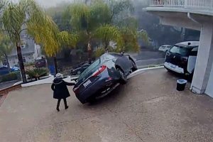 lexus_crash